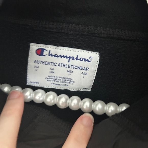 Champion Hoodie Men's L - Rare - Nylon Panel Double Hood Logo Black - Picture 5 of 6